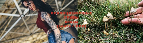 метадон Алзамай